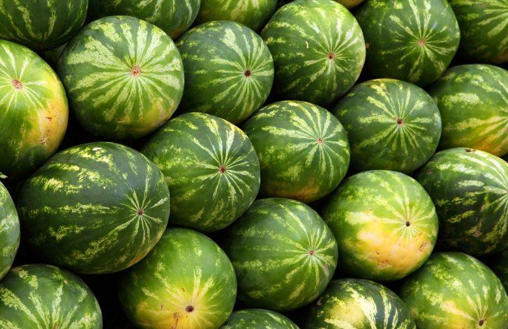 potraviny a ich ceny v obchodoch v roku 2019