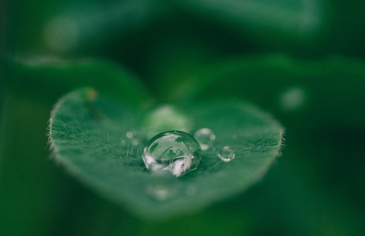 uhlíková kalkulačka pre banky