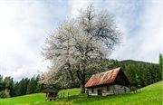 Chystáte sa na hory? Nezabudnite na poistenie
