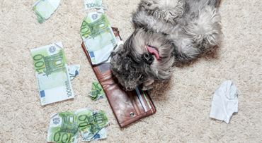 Poškodené, roztrhnuté či zašpinené peniaze. Ako ich vymeniť a na čo si dať pozor?