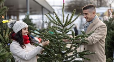 Tu si kúpite najlacnejší stromček na Vianoce a prispejete k udržateľnosti