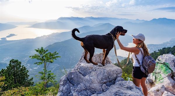 Pešia turistika a prechádzky so psom v prírode. Kedy vás môžu vyjsť draho?