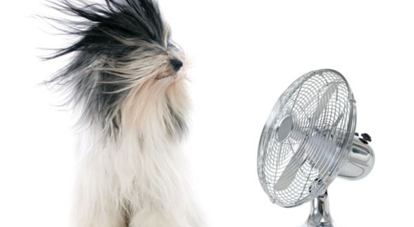 Klimatizácia v domácnosti sa vďaka horúčavám stala populárnym tovarom