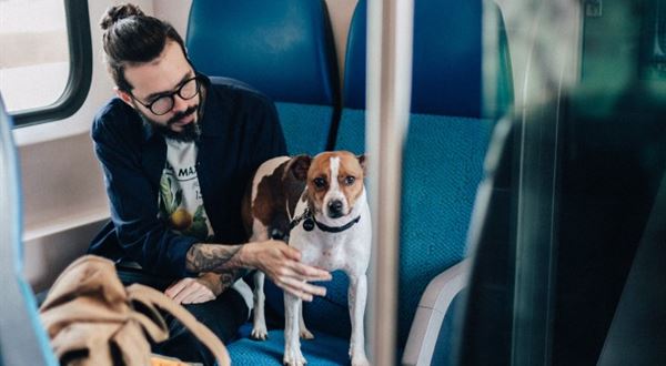 So psom vo vlaku – aké sú podmienky a ceny?