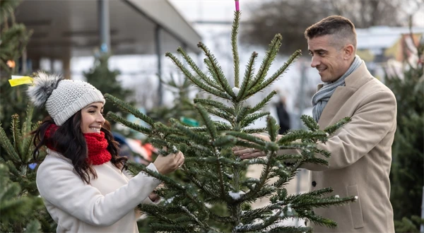 Tu si kúpite najlacnejší stromček na Vianoce a prispejete k udržateľnosti